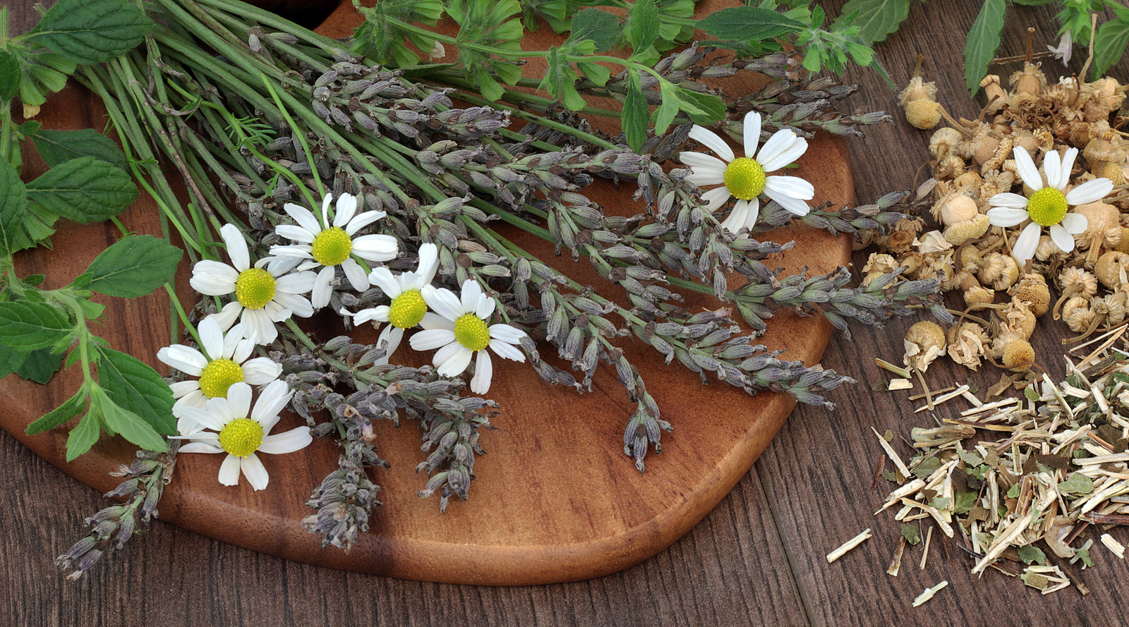 Fresh valerian flower