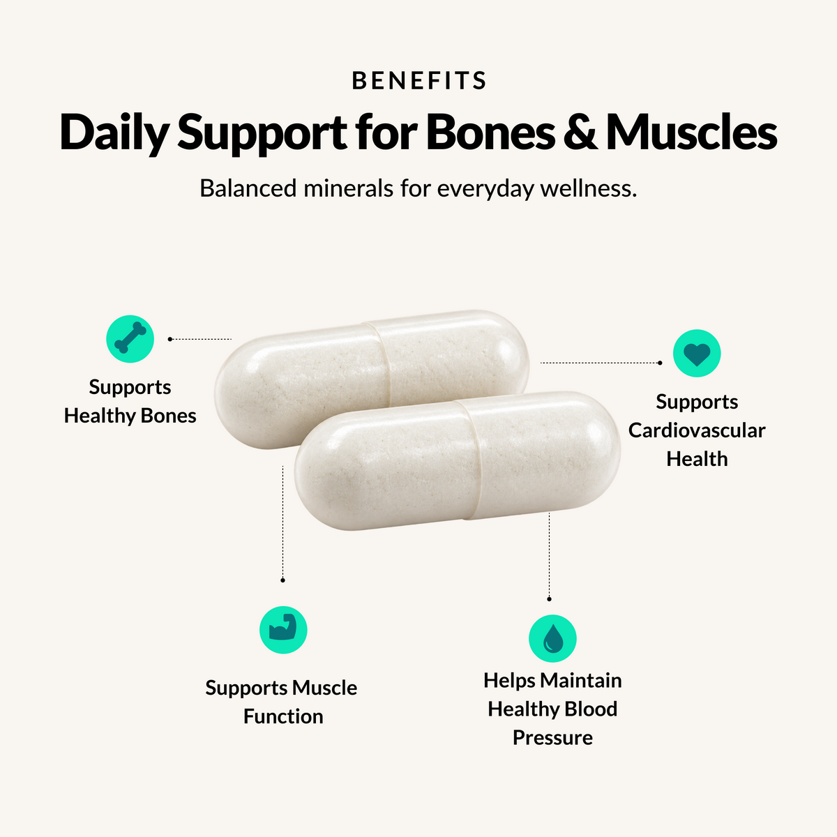 Cal-Mag Complete - Benefits