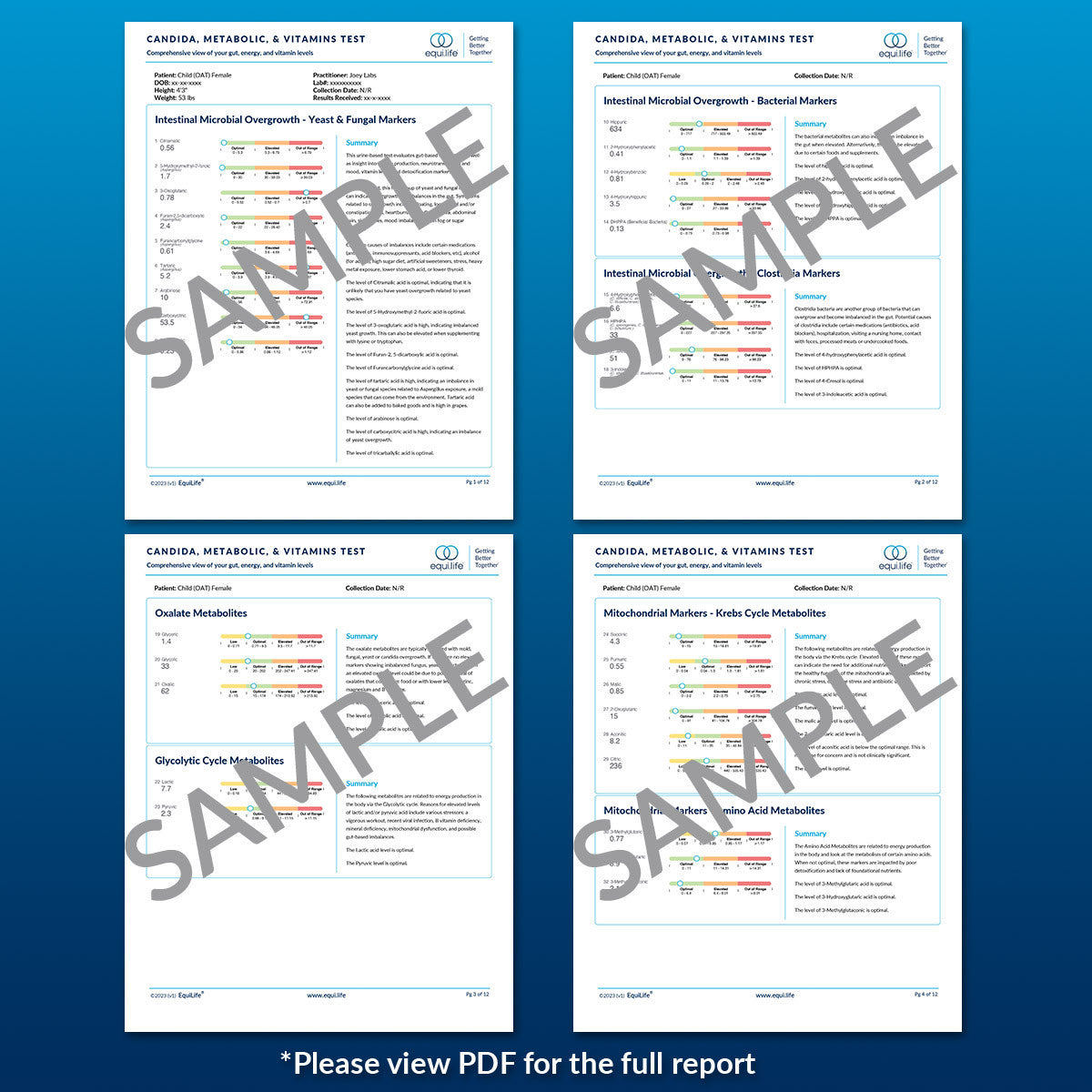 Candida, Metabolic & Vitamins Test