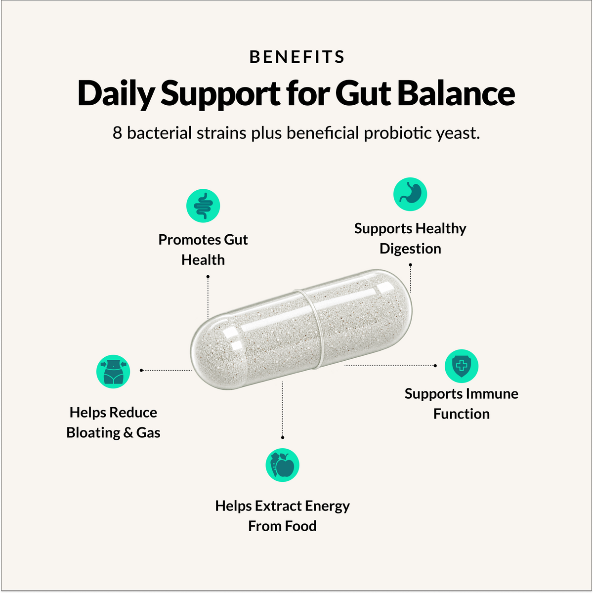 Clean Gut Probiotic - Benefits