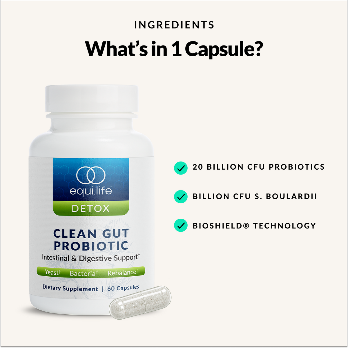 Clean Gut Probiotic - Ingredients