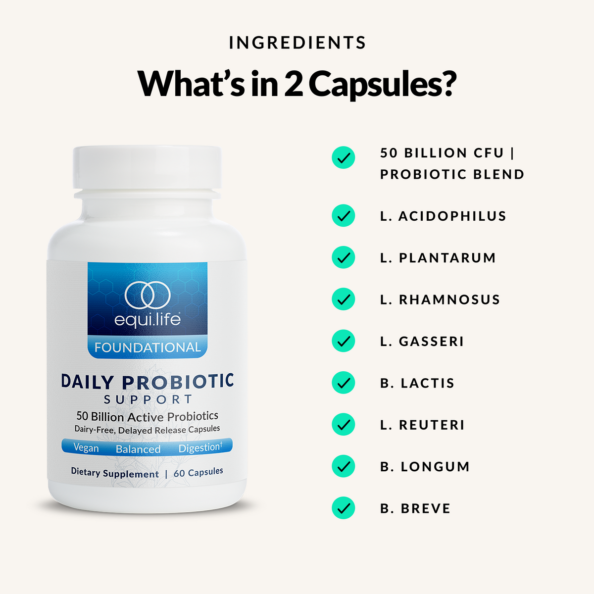 Daily Probiotic Support - Ingredients