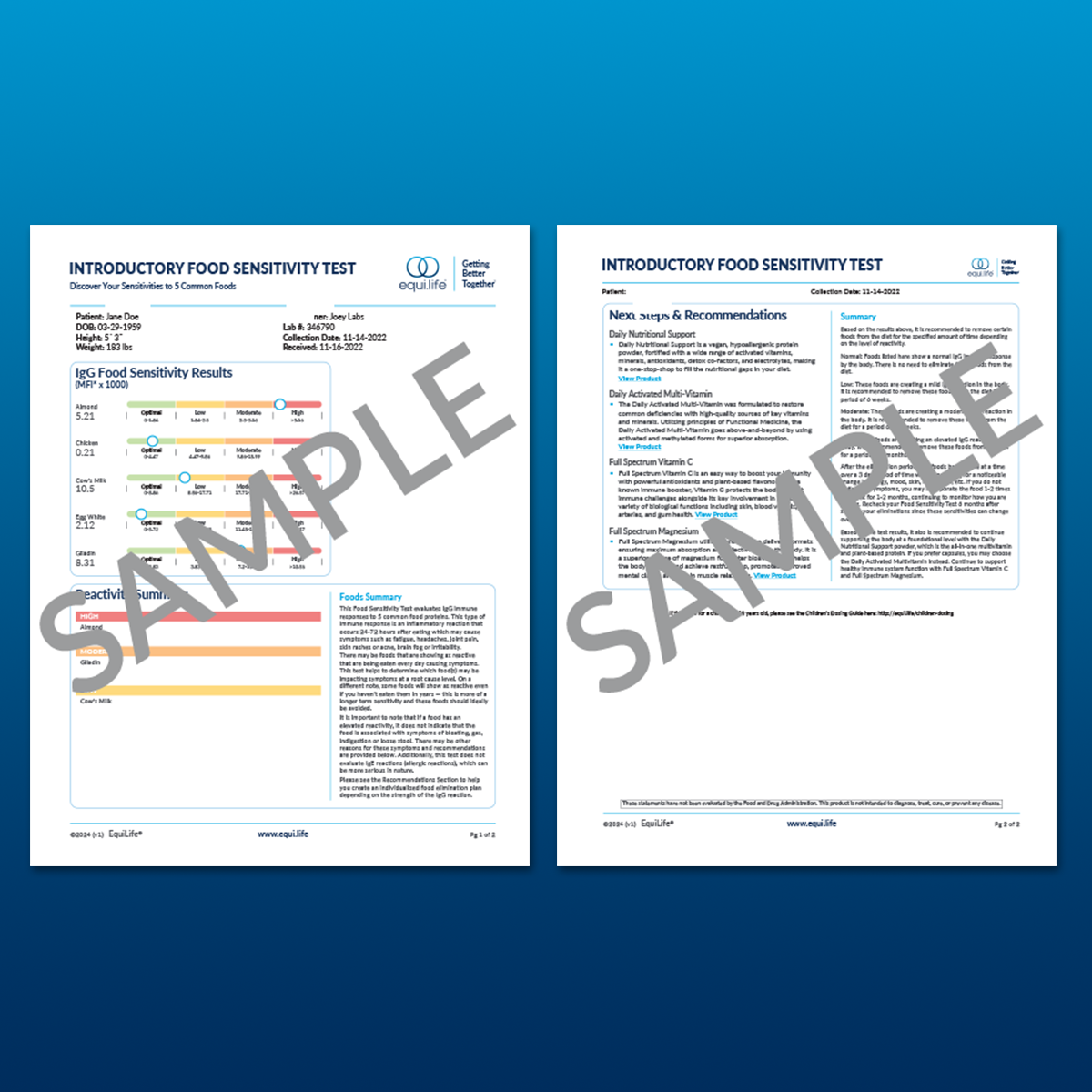 Introductory Food Sensitivity IgG Test