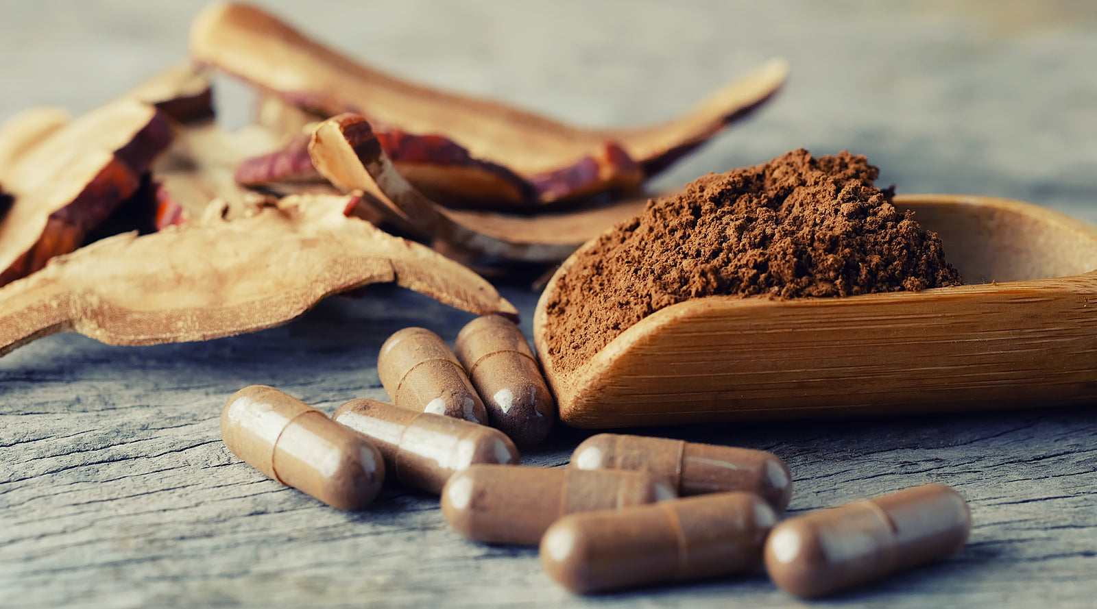 Mushroom Support Supplements