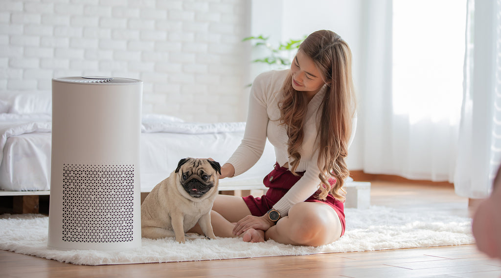 Air purifier for allergies deals do they work