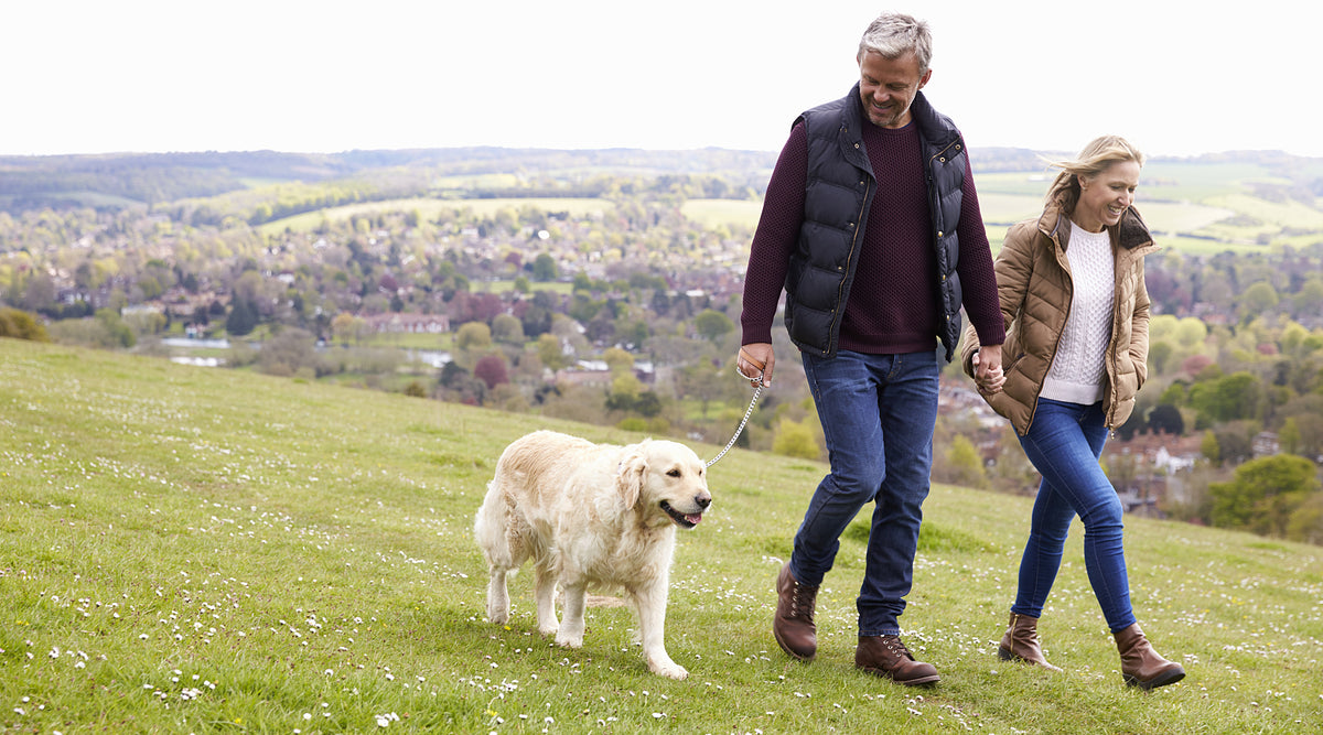 A couple walk their dog in the park.