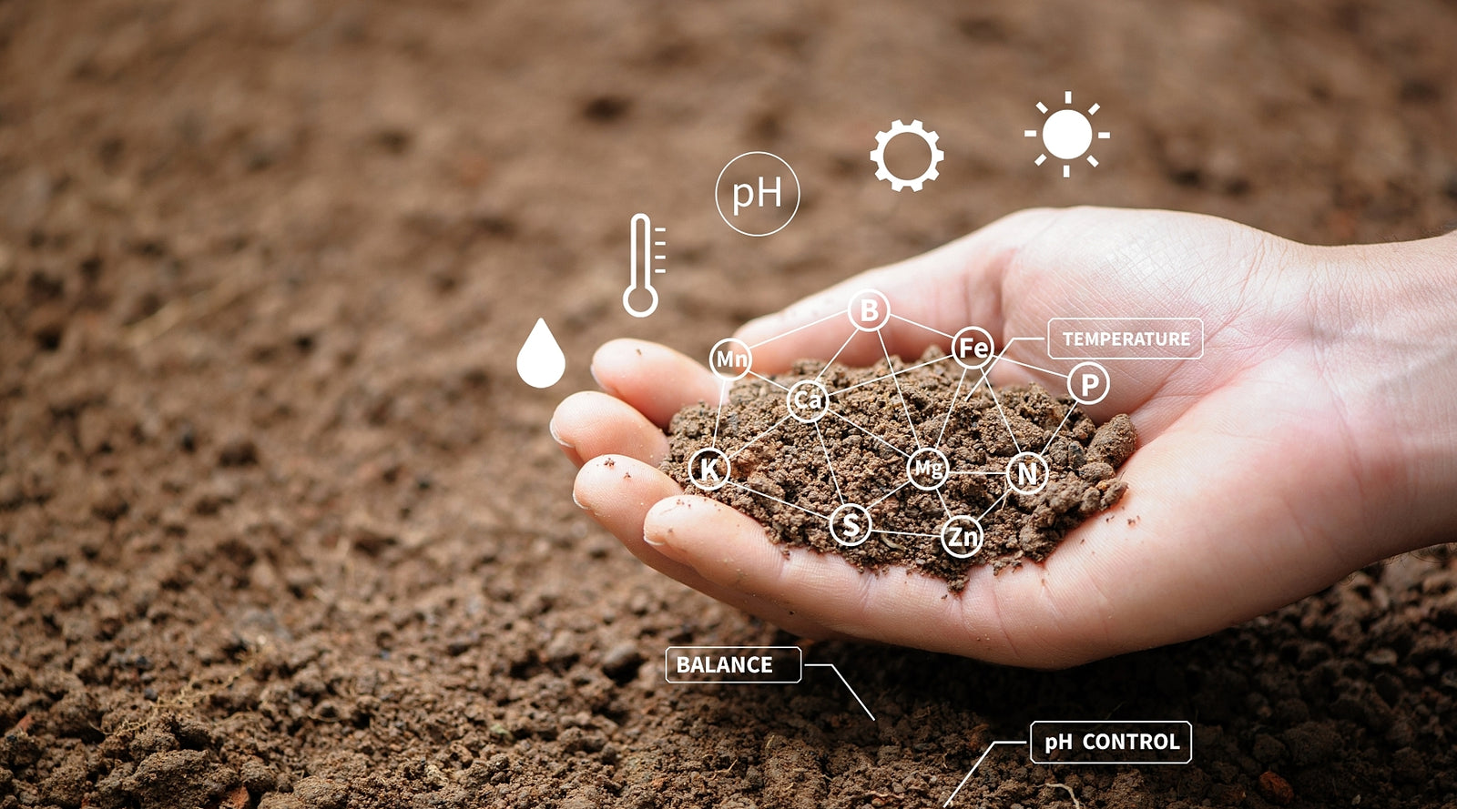 The quality of soil is important