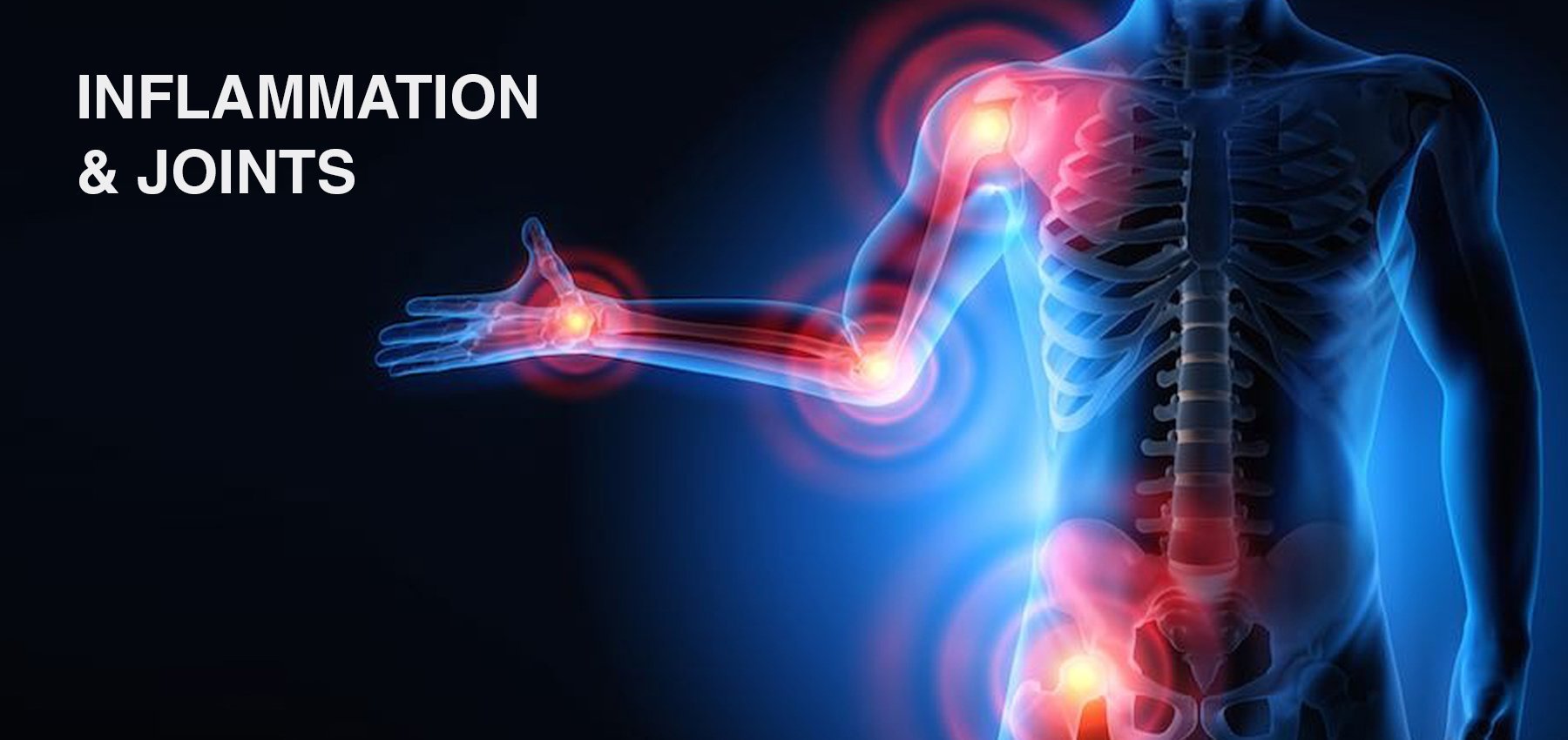 Inflammation & Joints
