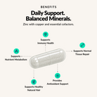 Balanced Zinc - Benefits