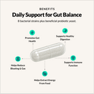 Clean Gut Probiotic - Benefits