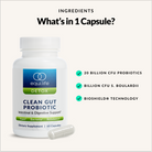 Clean Gut Probiotic - Ingredients