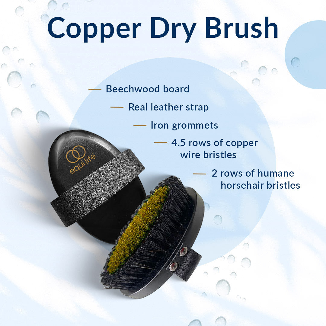Infographic of the EquiLife Copper Dry Brush: beechwood board, real leather strap, iron grommets, 4.5 rows of copper wire bristles, 2 rows of humane horsehair bristles