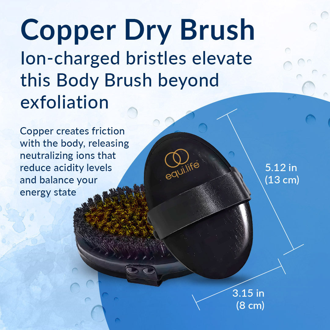 Infographic of the EquiLife Copper Dry Brush with its 5.12 inch by 3.15 inch dimensions and text about ion-charged bristles