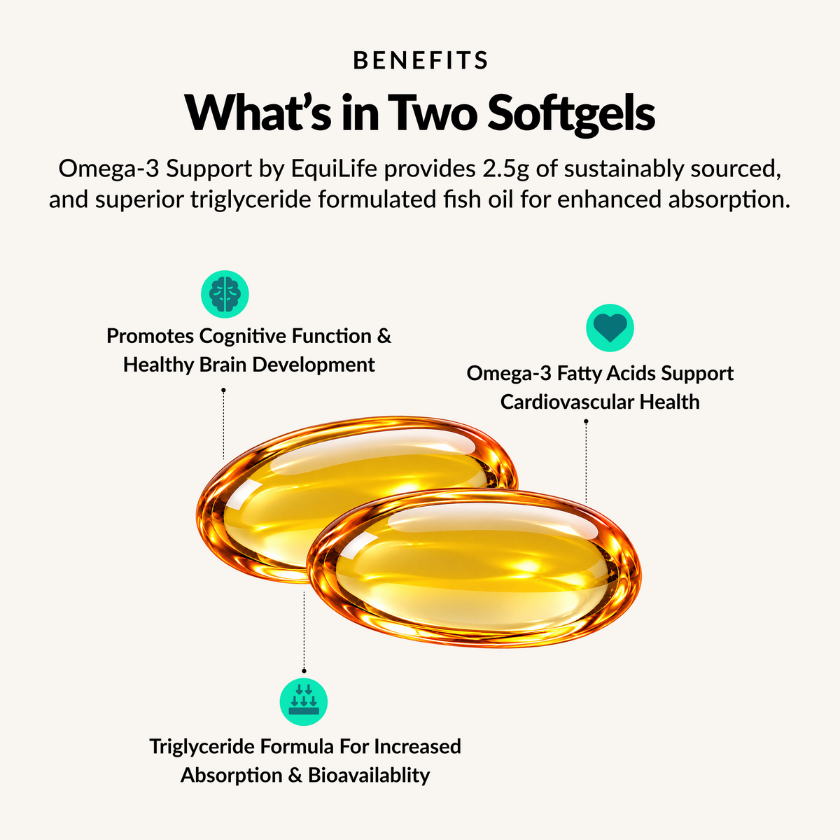 Omega-3 Support Softgels - Benefits 1