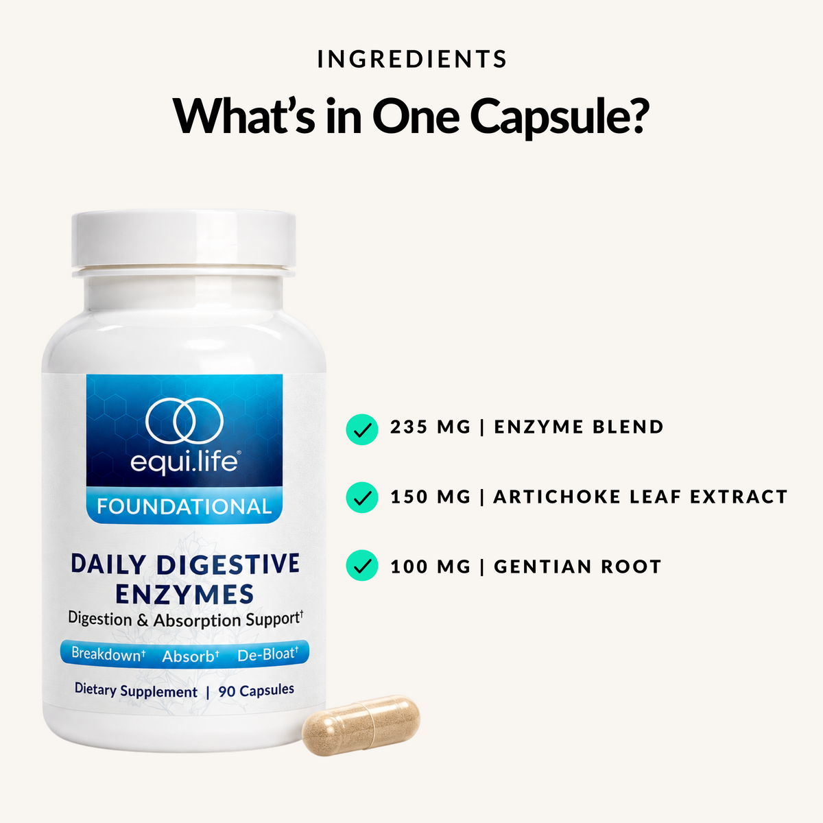 Daily Digestive Enzyme - Benefits 2