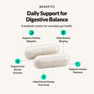 Daily Probiotic Support - Benefits