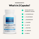 Daily Probiotic Support - Ingredients