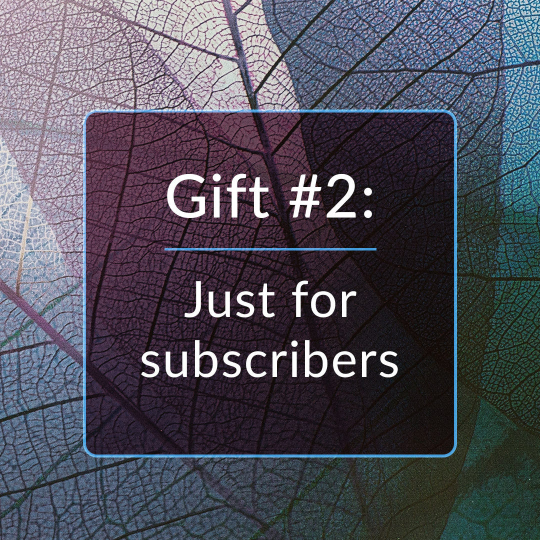 Grab &amp; Go Subscription Gift