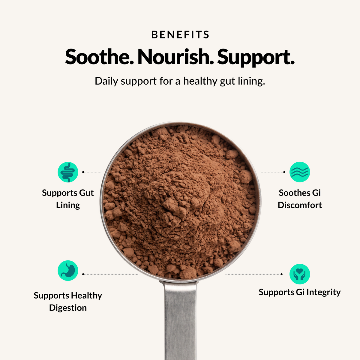 Healthy Gut Support - Benefits