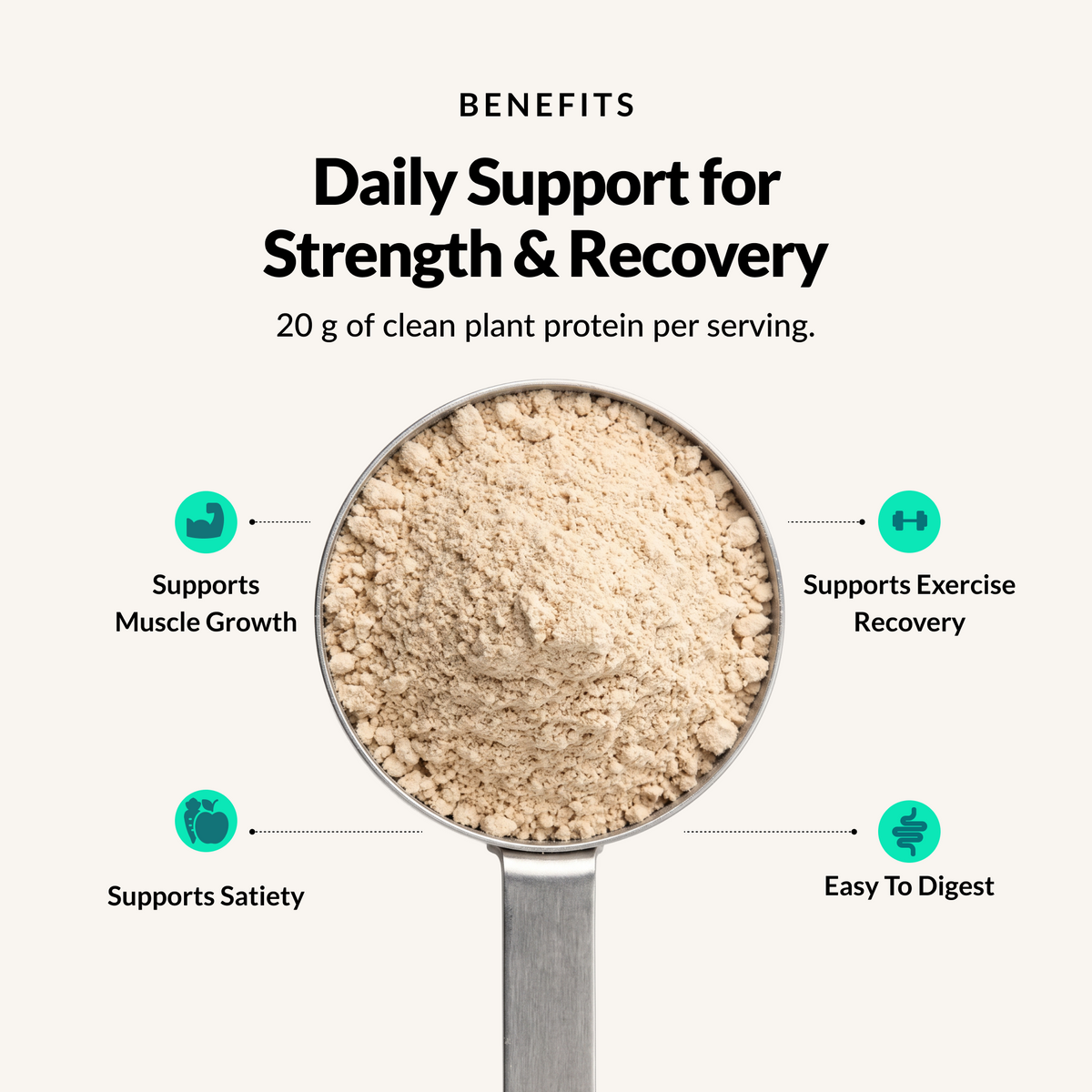 Organic Pea Protein - Benefits