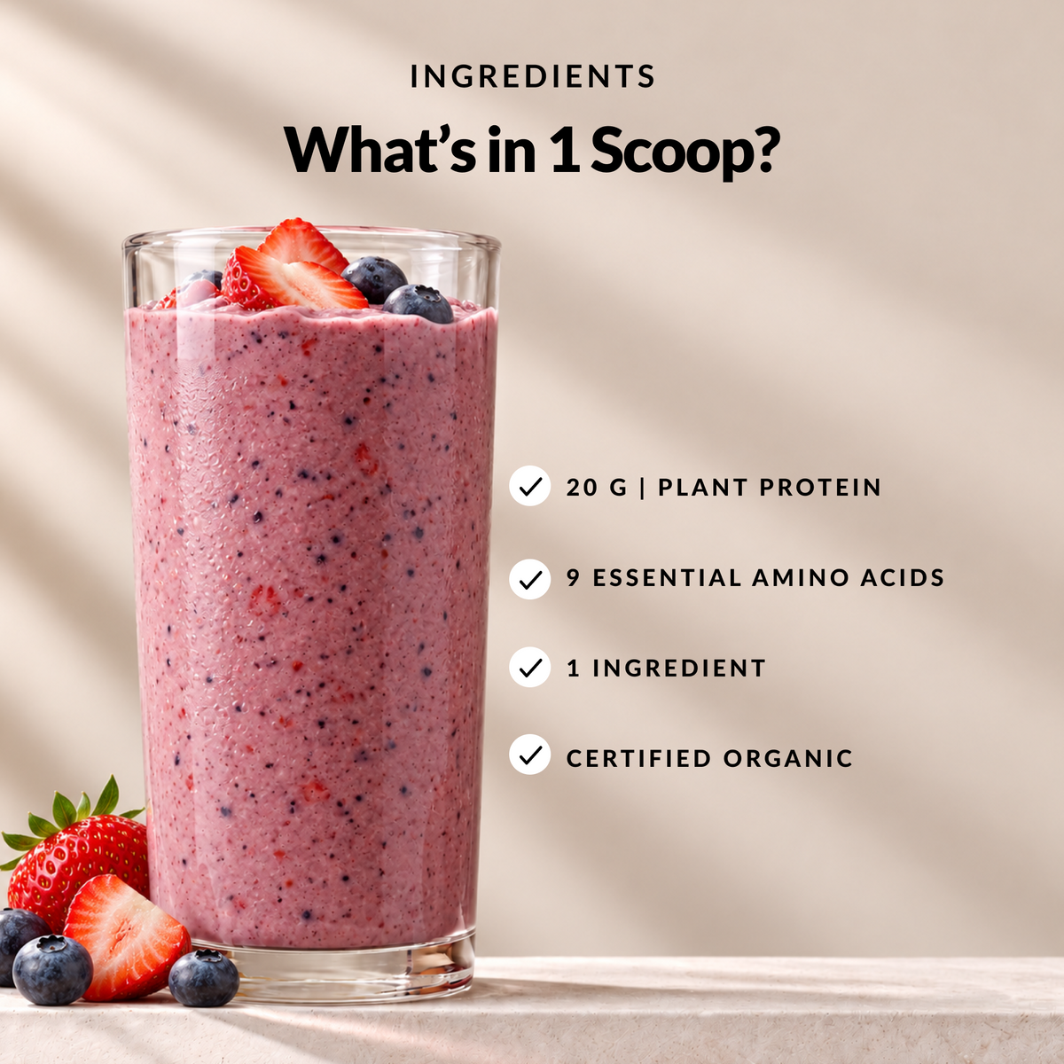 Organic Pea Protein - Ingredients