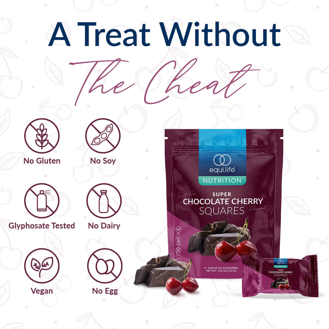 Super Chocolate Cherry Squares