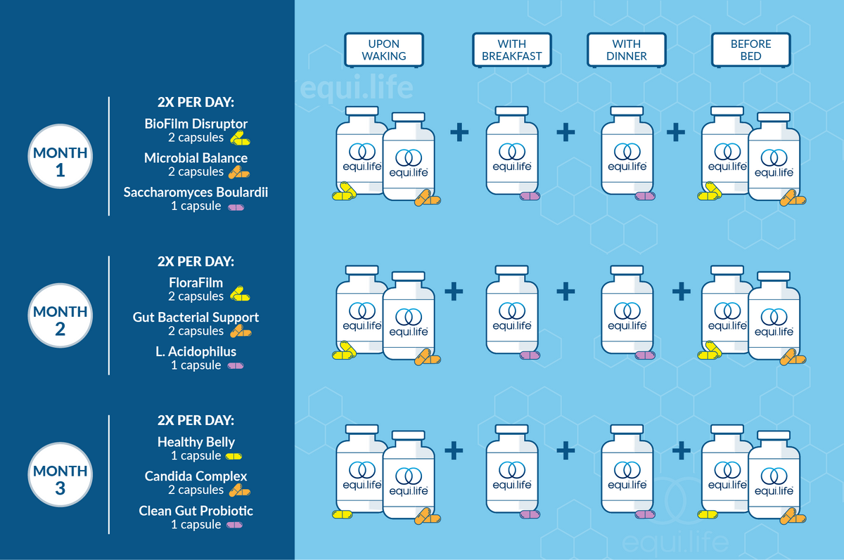 Candida & Bacterial Optimizer Protocol suggested use