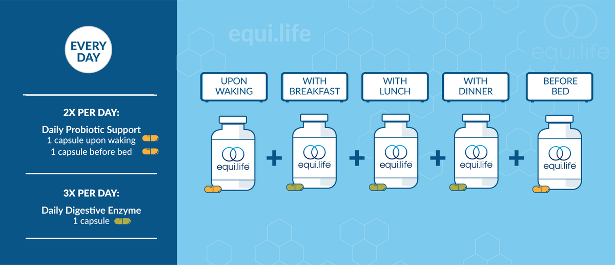 Gut Health Starter Stack suggested use