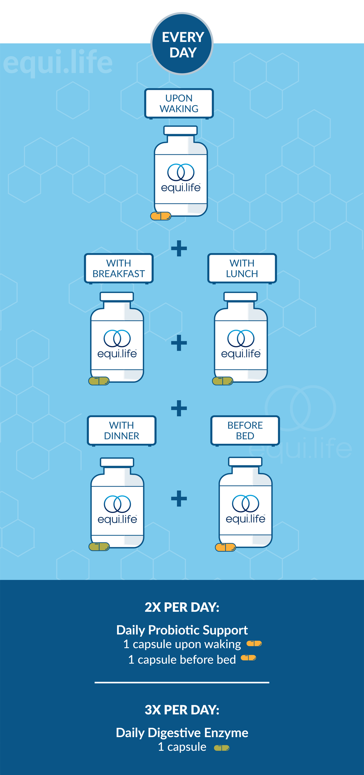 Gut Health Starter Stack suggested use