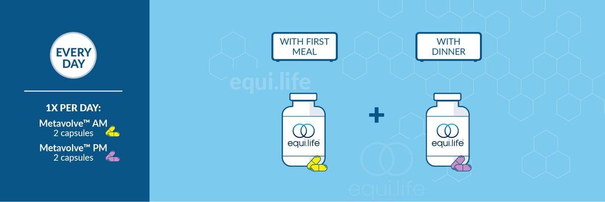 Metavolve suggested use