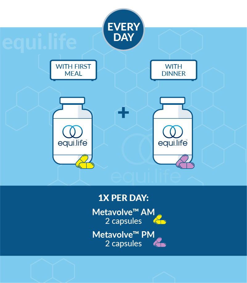 Metavolve suggested use