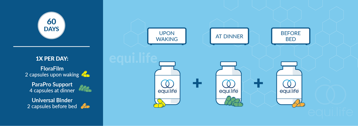 Parasite Cleanse Protocol suggested use