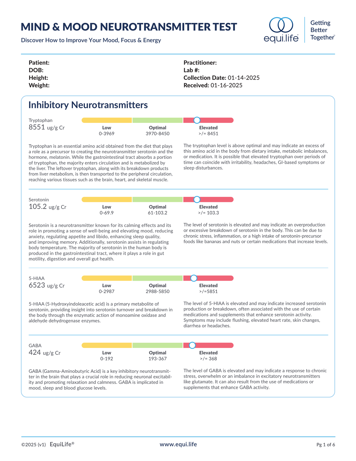 EquiLife Mood & Mind Neurotransmitter Test Lab Result Page 1