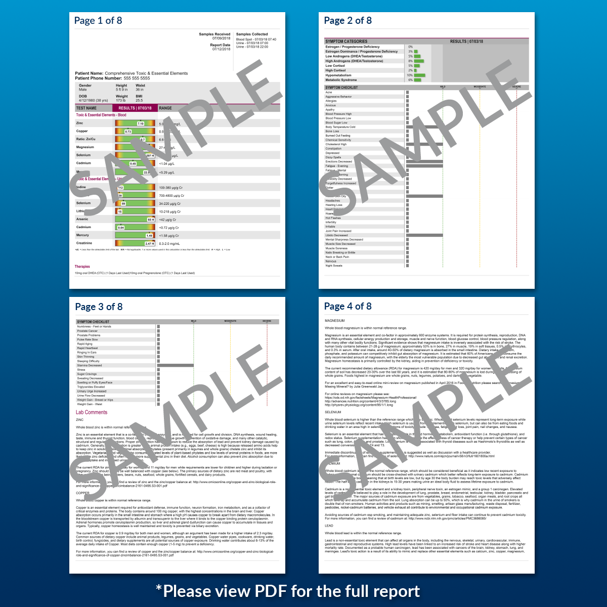 Toxic Heavy Metals Test