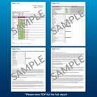Toxic Heavy Metals Test