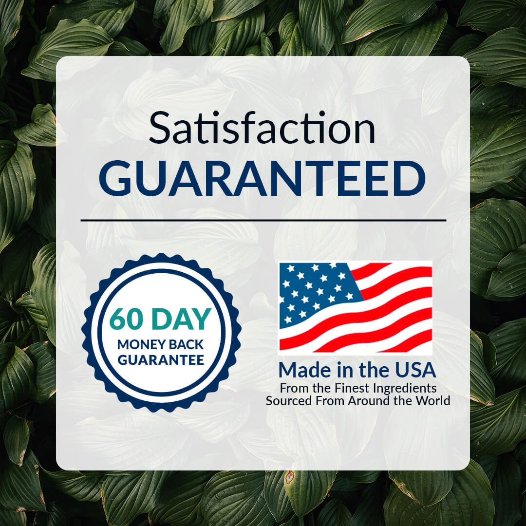 Daily Probiotic Support