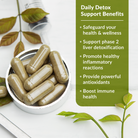Daily Detox Support
