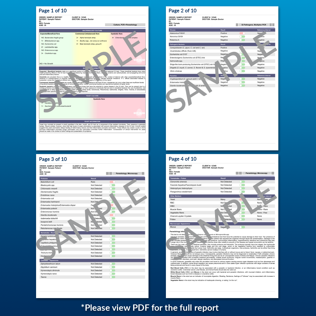 Gut Bacteria &amp; Parasite Test