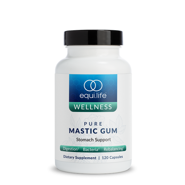 Pure Mastic Gum